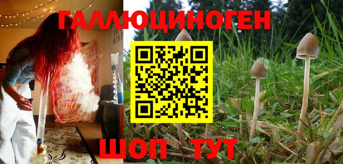 Псилоцибиновые грибы Magic Shrooms  Вход с VPN  Шарыпово  как найти закладки  Галлюциногенные грибы ЛСД 